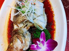 清蒸鲈鱼-东北大院·东北菜(三台子店)