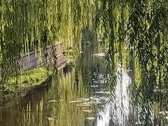 -元大都城垣遗址公园