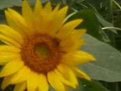 -映月湖中央公园