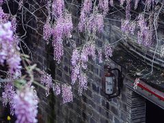 -老门东历史文化街区