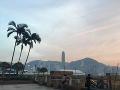 -香港皇家太平洋酒店