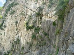 -沣峪口