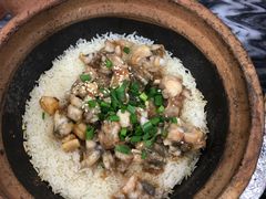-红星光发煲仔饭(大石街店)