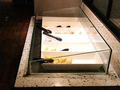 -比格比萨自助(西单明珠餐厅)