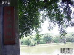 -小洲村