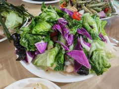-闫家驴肉老店(华电一校店)