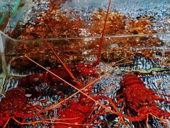 -顺风山庄(水濂山店)