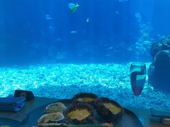 -海棠湾洲际-涛·海底餐厅·美人鱼·自助餐·海底隧道