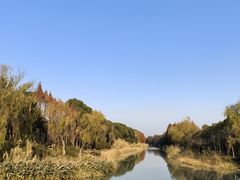 -贡湖湾湿地公园