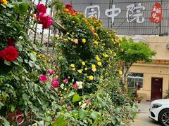 -园中院•常州菜