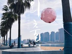 -金沙湖公园