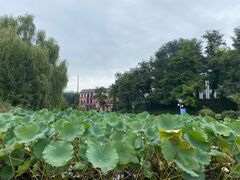 -大连海事大学-游泳馆