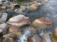 -陕西省红河谷森林公园