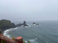 -涉地可支