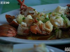 -海岛渔村大酒店(云霄路店)