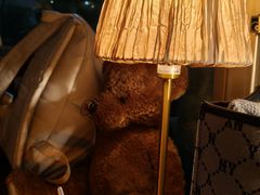 -咖法森林·咖啡  酒吧(天河店)