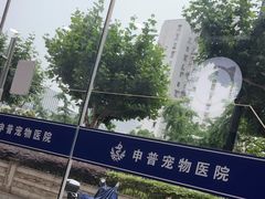 -申普宠物医院·眼科·心内科·影像科(普陀分院)