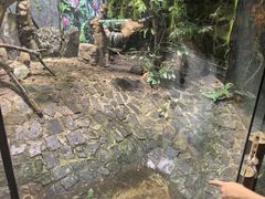 -上海昆虫博物馆