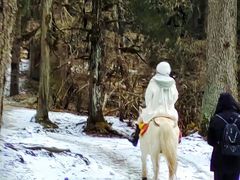 -叠溪松坪沟景区