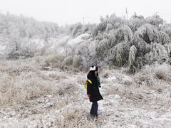 -江南天池