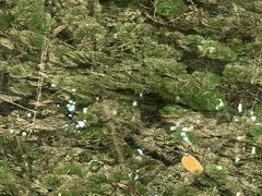 -同里国家湿地公园