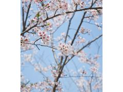 -独墅湖图书馆停车场