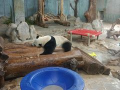 -海南热带野生动植物园
