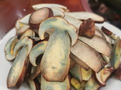 -菌之家·专业纯野生菌火锅·特色炒菌