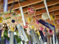 -成都濑川外国语学校