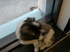 -火焰枪蛋·烧烤(奉天街店)