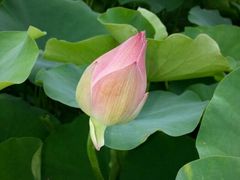 -新影联东环影城