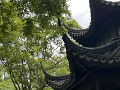 -拙政园