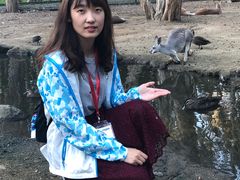 -可伦宾野生动物保护区