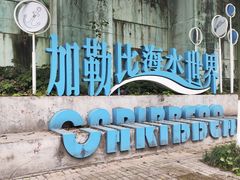 -重庆海昌加勒比海水世界