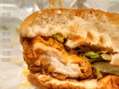 肉肉大方炸鸡堡-麦当劳(凌云天地长桥店)
