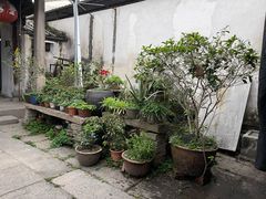 -司徒世家·兵马司林粽球(牌坊街店)
