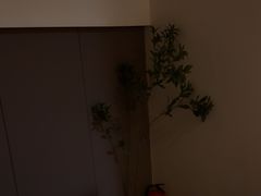 -小仙女采耳·按摩·SPA(深圳旗舰店)