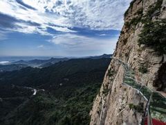 -大芦花风景区