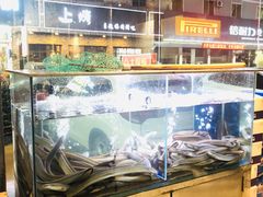 水产区-本炙炭烤·蒲烧活鳗料理店(金沙洲店)
