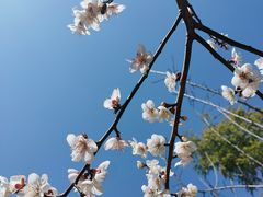 -白塘生态植物园