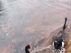 -厦门园林博览苑