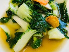 清炒奶白菜-梧桐Plus·创意京·川料理(万象城店)