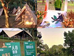 -南宁良凤江国家森林公园