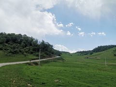 -关山草原