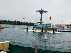 -秦皇岛乐岛海洋王国