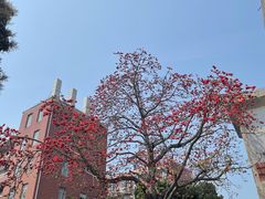 -厦门大学(思明校区)