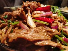 -九毛九西北菜(大东海店)