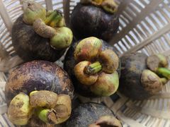 -都念榴莲·城市榴莲