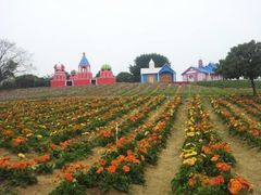 -松山湖梦幻百花洲