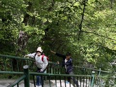 -洛阳白云山景区